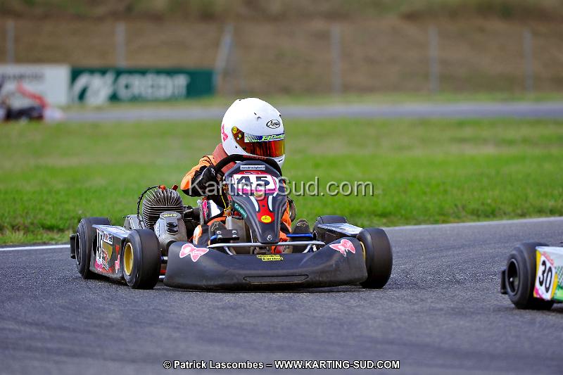 DSC_ (636).jpg